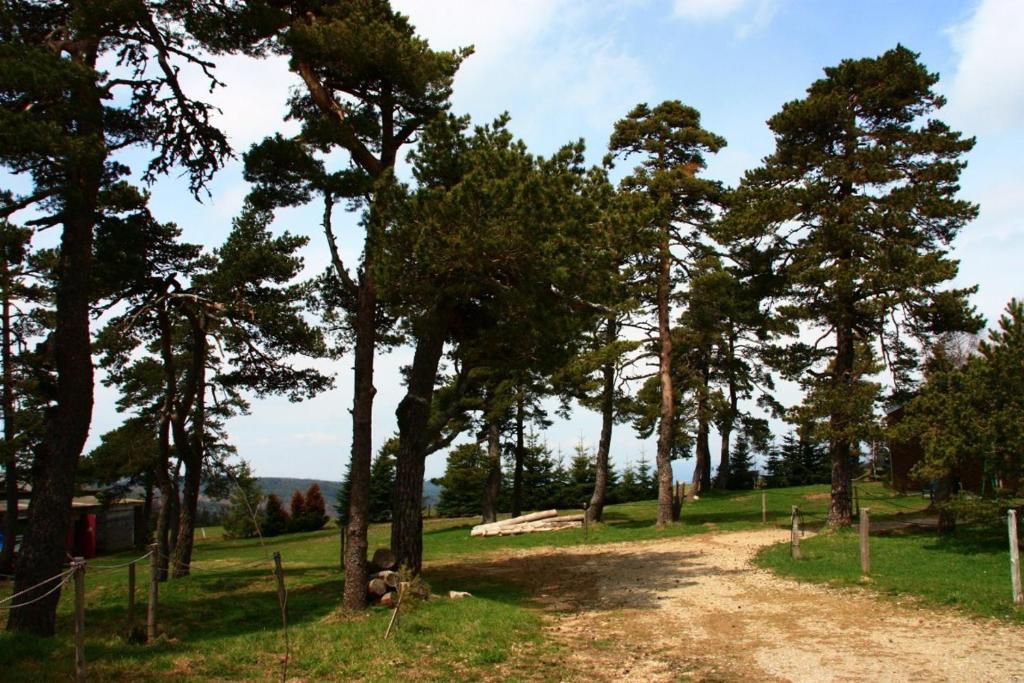 Hotel Le Refuge Mas-dʼOrcières 외부 사진